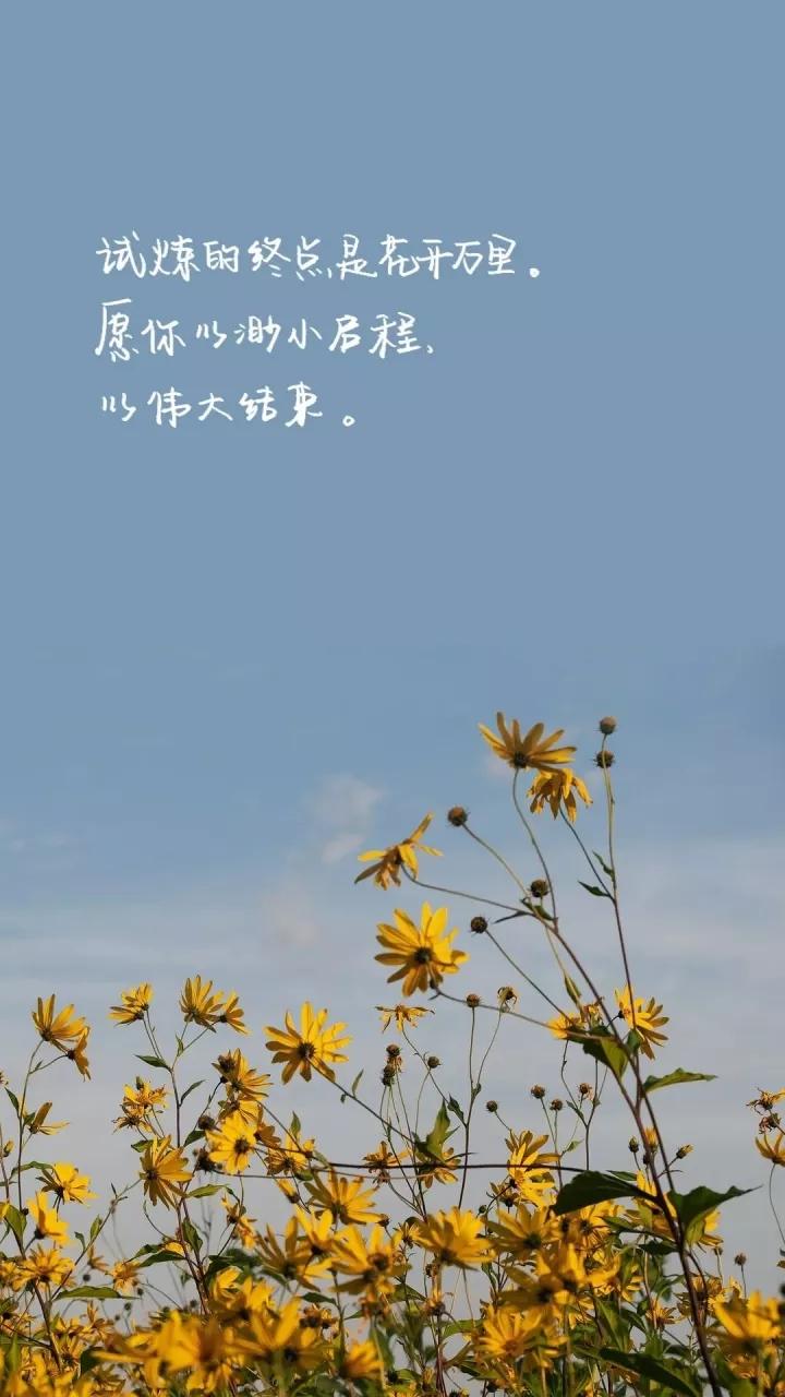99张一看就让人励志努力奋斗的壁纸 知乎