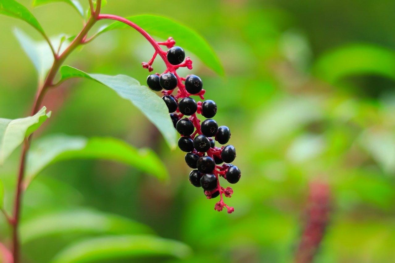 2. 精装修亮点揭秘