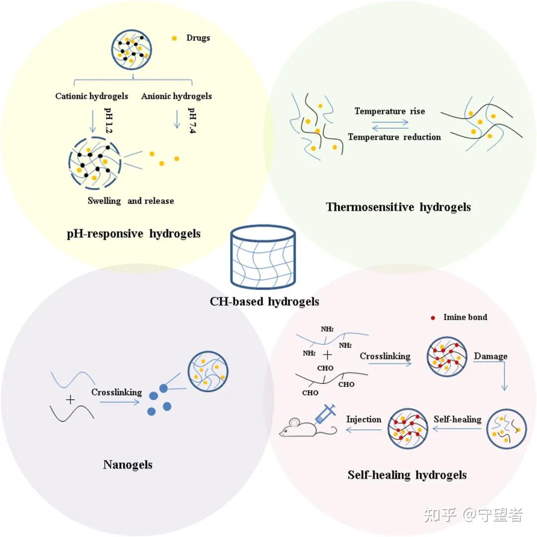 trends food sci tech:壳聚糖基水凝胶 