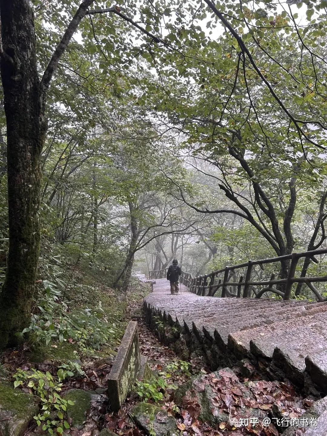 黄山雨中独行记(一):从云谷寺徒步到白鹅岭,一路有啥美景? - 知乎