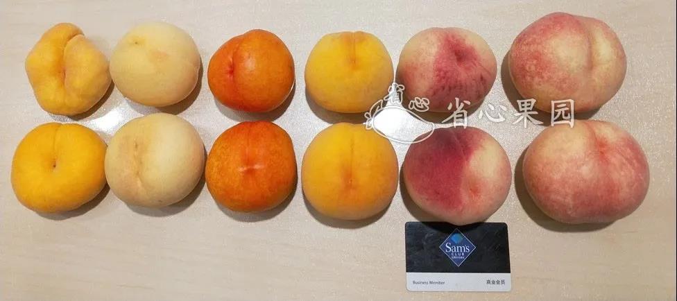 桃子怎么切才好看 v2-e5d38983adc2cef5a68efedb7f9e626c_r.jpg