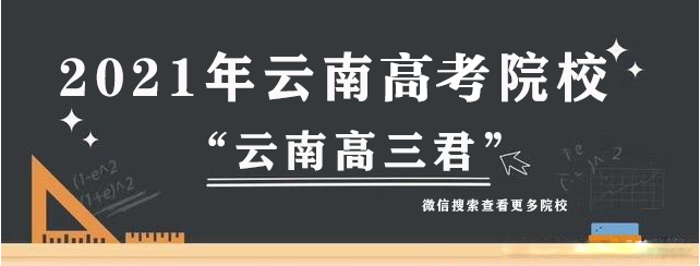 2021高考人数官方公布(2021高考人数官方公布湖北)