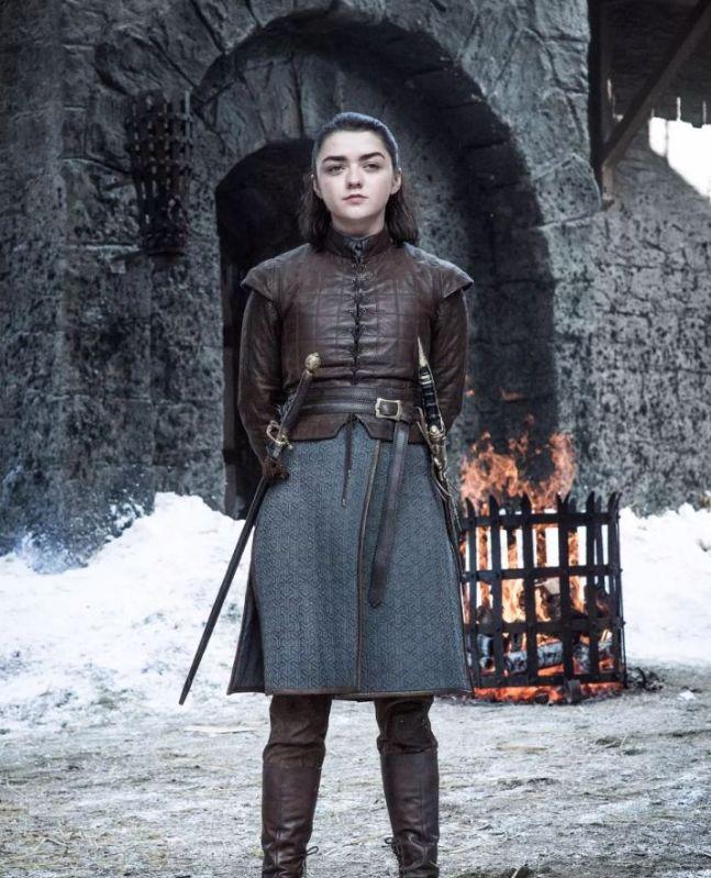 如何评价冰与火之歌中的艾莉亚史塔克aryastark