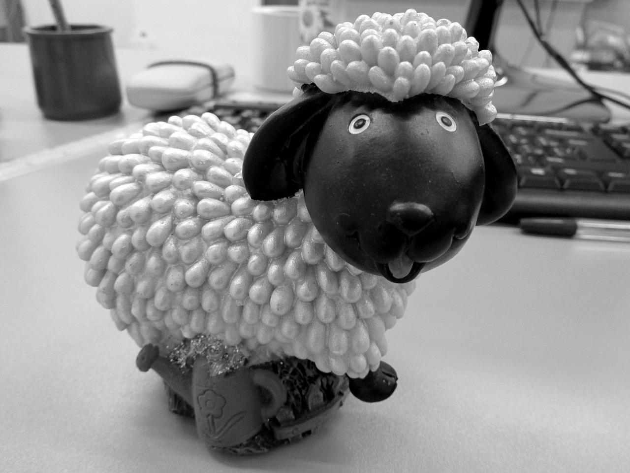 羊肉不能与什么同吃