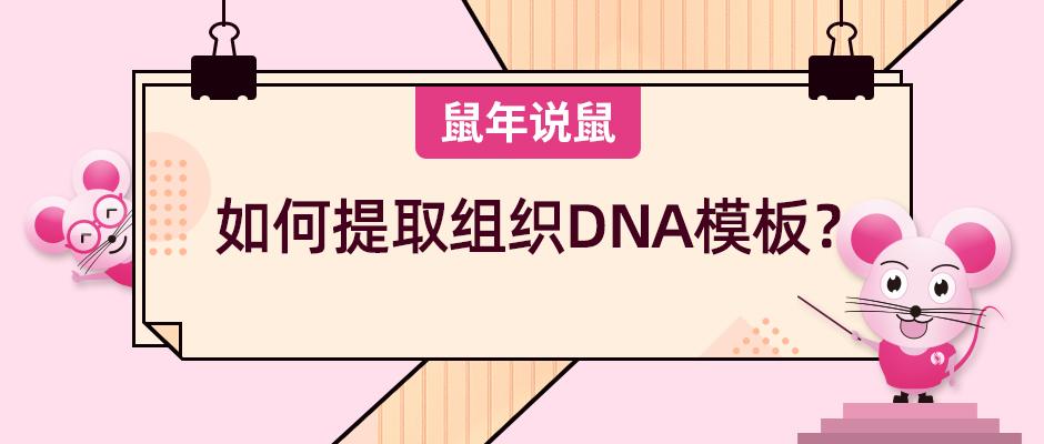 知乎专栏