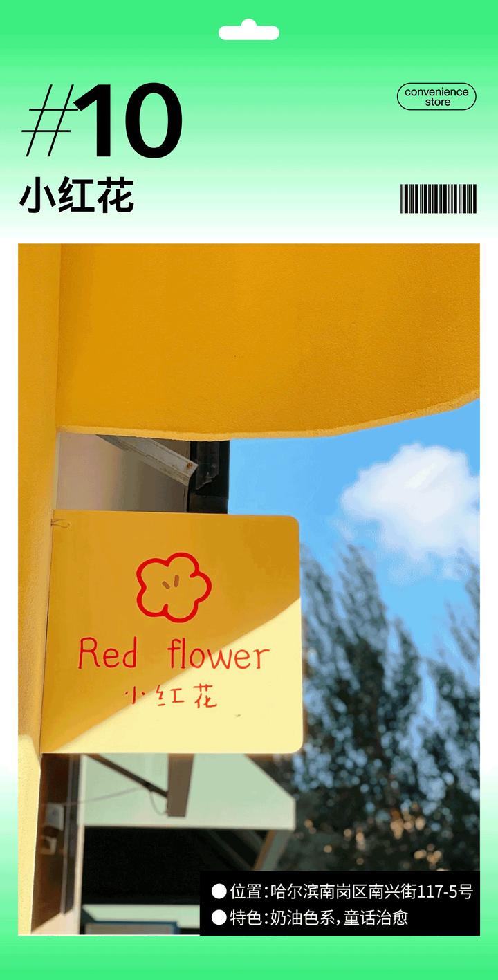 動圖封面
