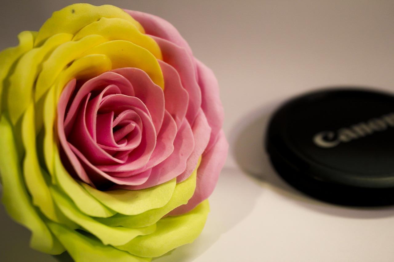 肥皂花是什么花