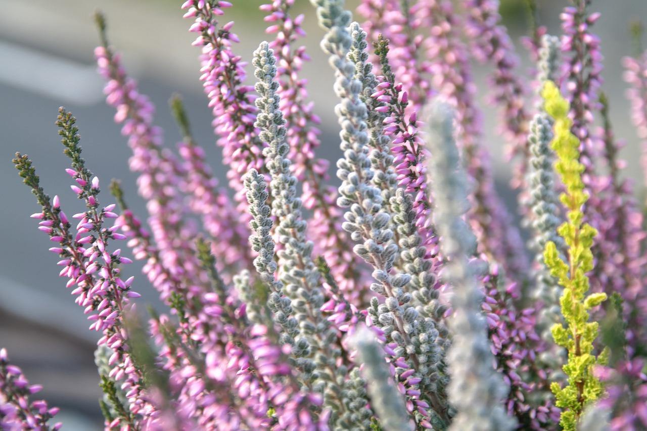 冬季顶楼防寒攻略