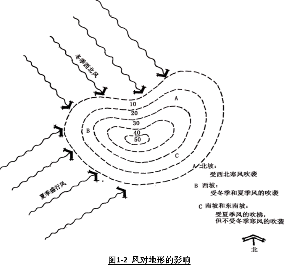 景观设计如何分析一个地形