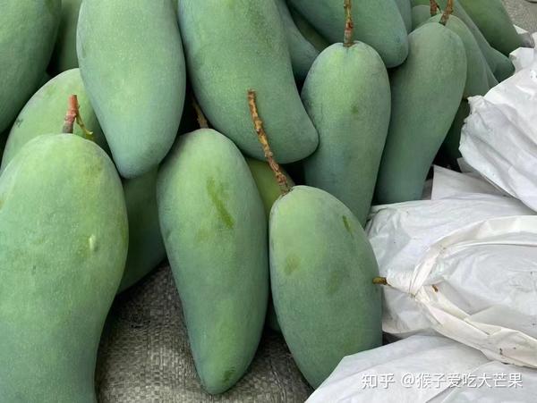 攀枝花芒果你最喜欢的是哪一个品种 - 知乎