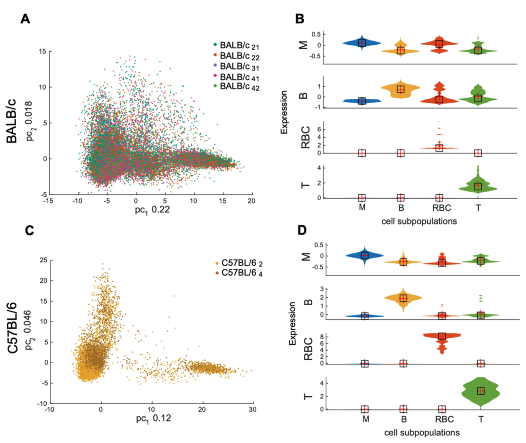FEBS LETTER丨单细胞测序探讨BALB/c和C57BL/6小鼠巨噬细胞的区别 - 知乎