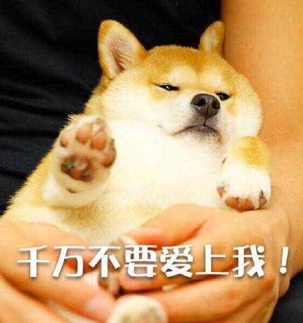 v2-e61a2d6888854417802fd9ff5018b550_r.jpg