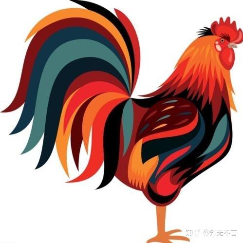 多少斤算大公鸡 v2-e62205af0efb00a204d84e4c55517964_r.jpg