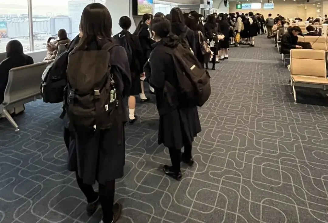 请输入图片描述