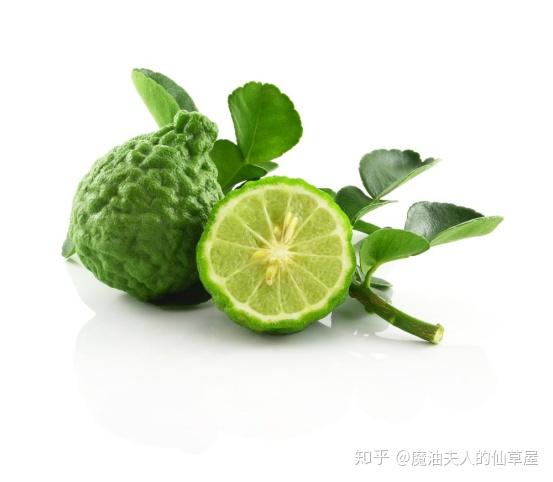 芸香科 柑橘属产地:意大利化学分子:柠檬烯25%,乙酸沉香酯,呋喃香豆素
