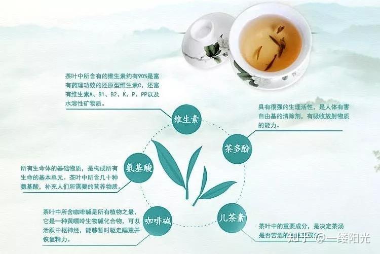 茶百科 | 六大茶类的功效都在这儿了，你喝对了吗? - 知乎