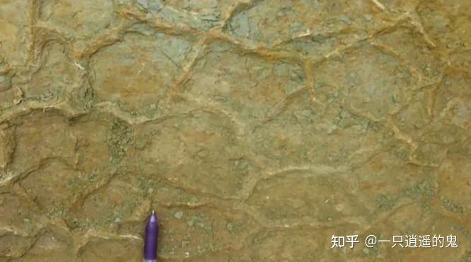 【构造地质学-学习记录】第二章 沉积岩层和岩浆岩的原生构造及其产状 - 知乎
