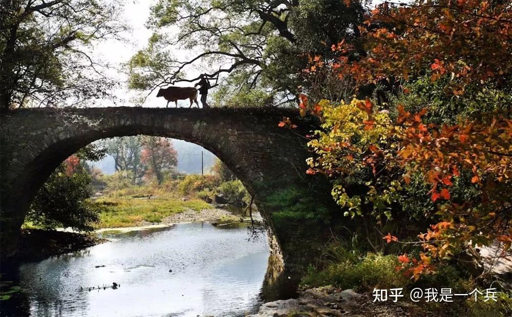 清华(徽派建筑,油菜花,廊桥倒影)察关(古水口,古拱桥,农夫,耕牛)浙源