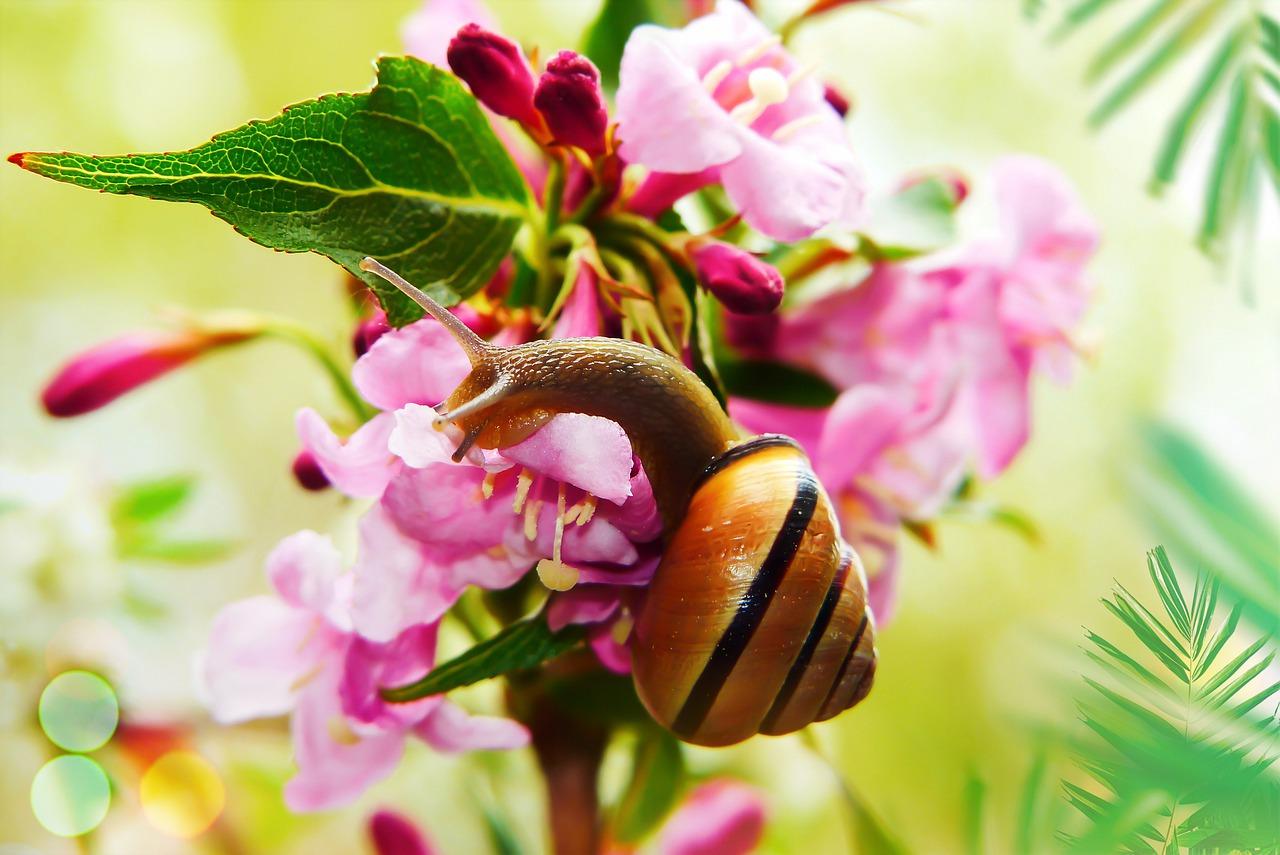 3. 光照与温度管理