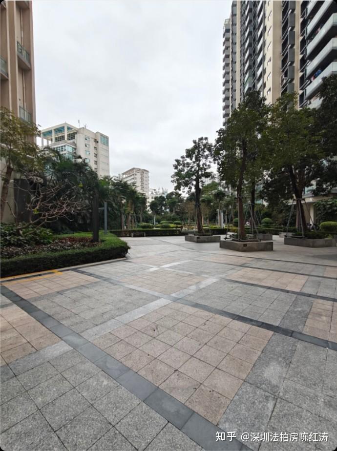 南山蛇口爆款法拍房！深圳湾半岛城邦花园一线海景+一线热盘双重惊喜 - 知乎