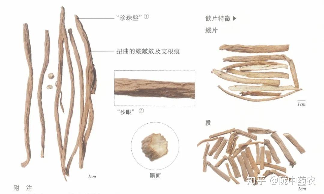 银柴胡性状鉴别图片图片