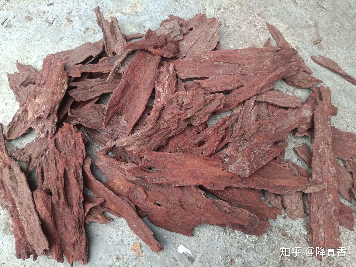 《深度拆解！“红降”花梨公与海南降真香红土料的鉴别指南》 - 知乎