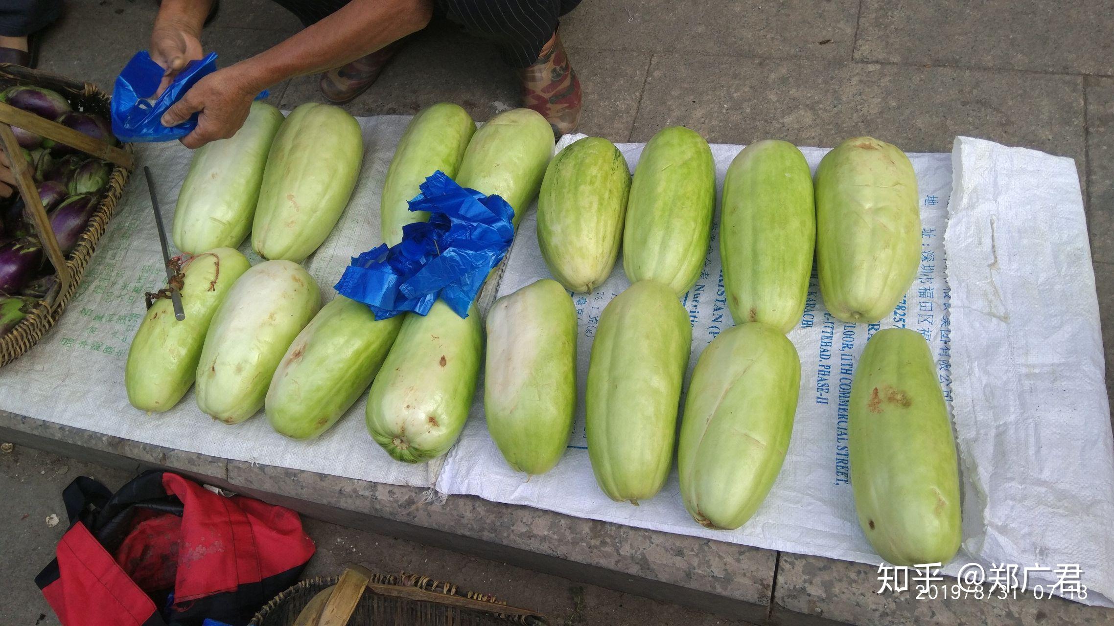 南方所说的"骚瓜"(读音)学名是什么? - 知乎