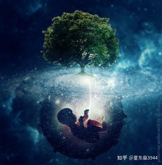 生命蓝图|子宫内的意识之旅 - 知乎