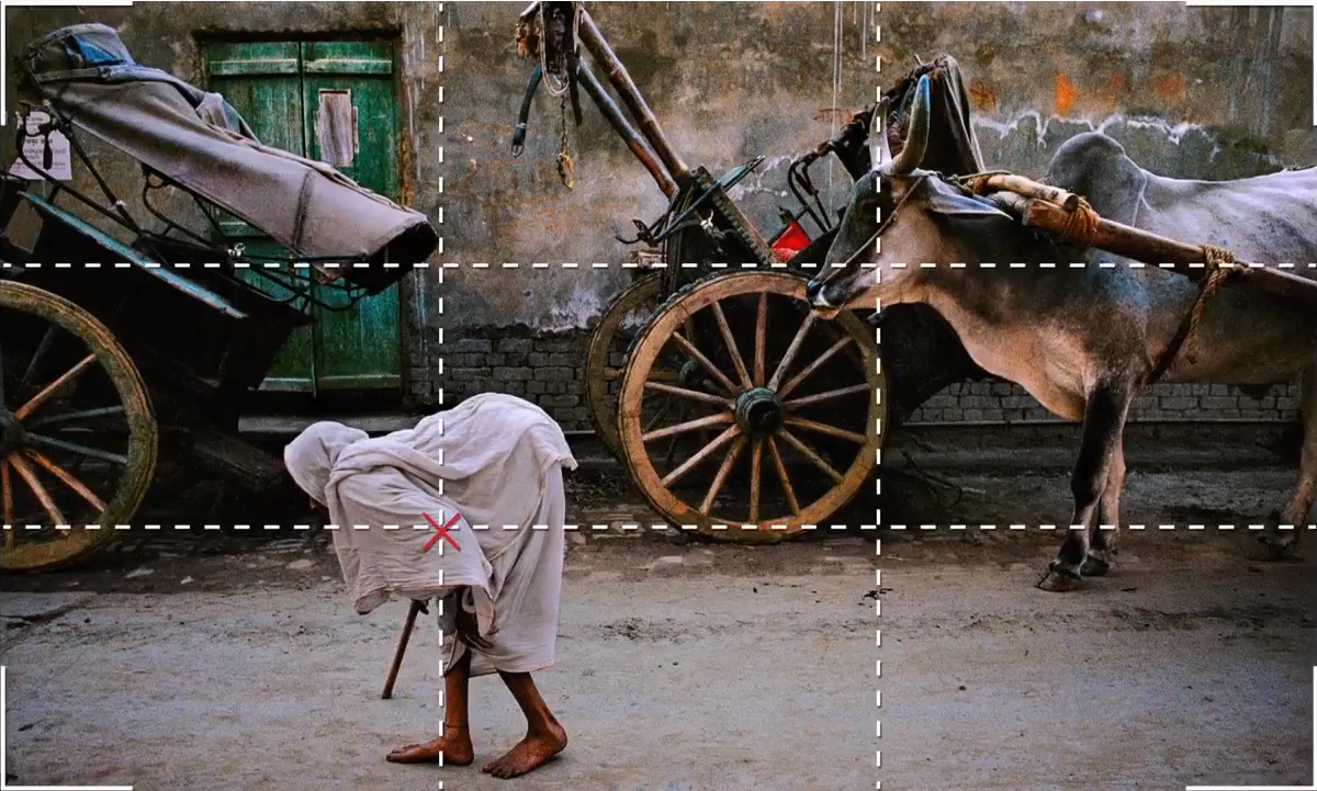 摄影技巧总结摄影家史蒂夫麦凯瑞的9个构图技巧陈阅视觉