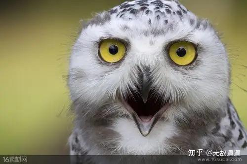 全民造车时代来了,汽车比手机,电视上新的更快