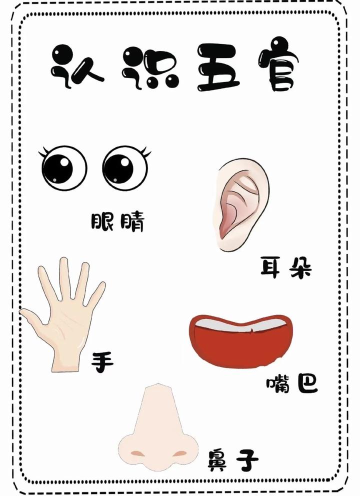 幼儿园认识五官|可直接打印使用
