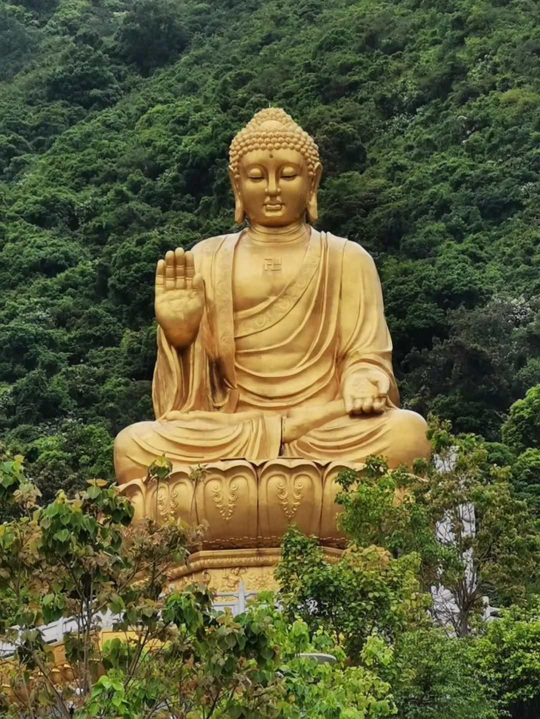 第一次去广东汕尾的汕尾海丰莲花山,有什么不踩雷攻略分享? - 知乎