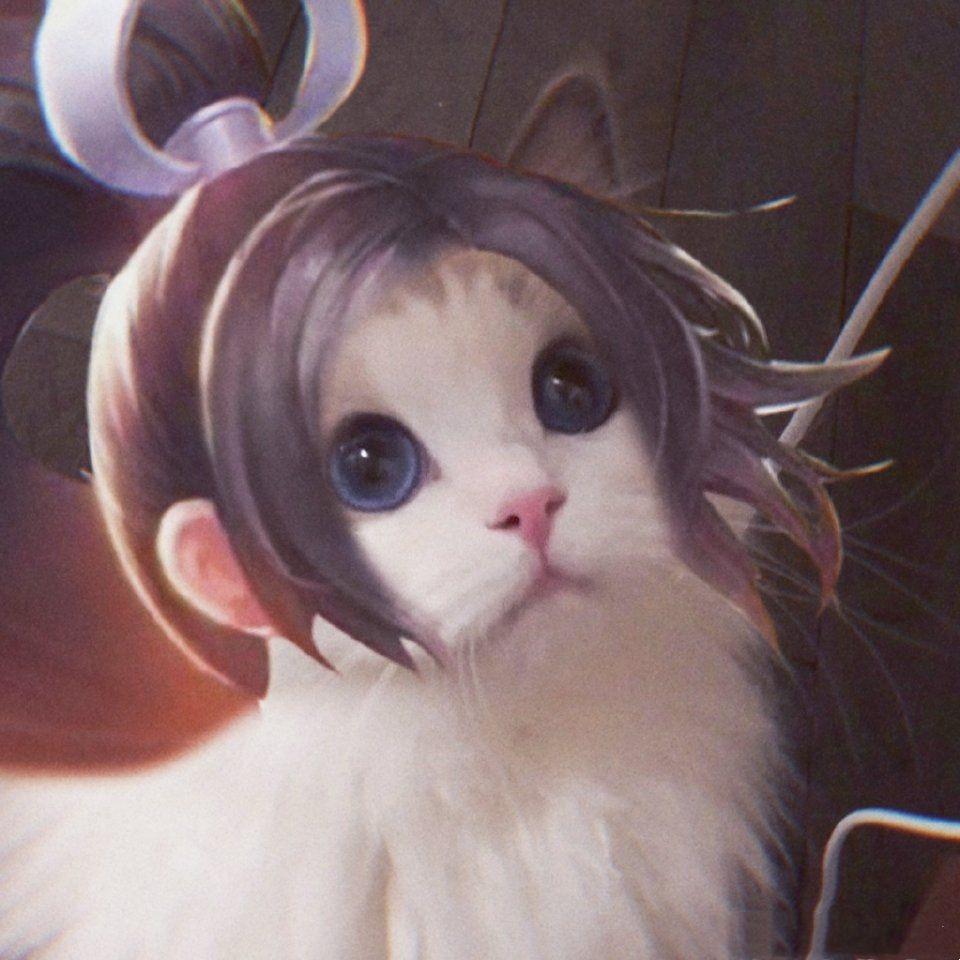 谁有王者荣耀最近非常火的猫咪接头的呀