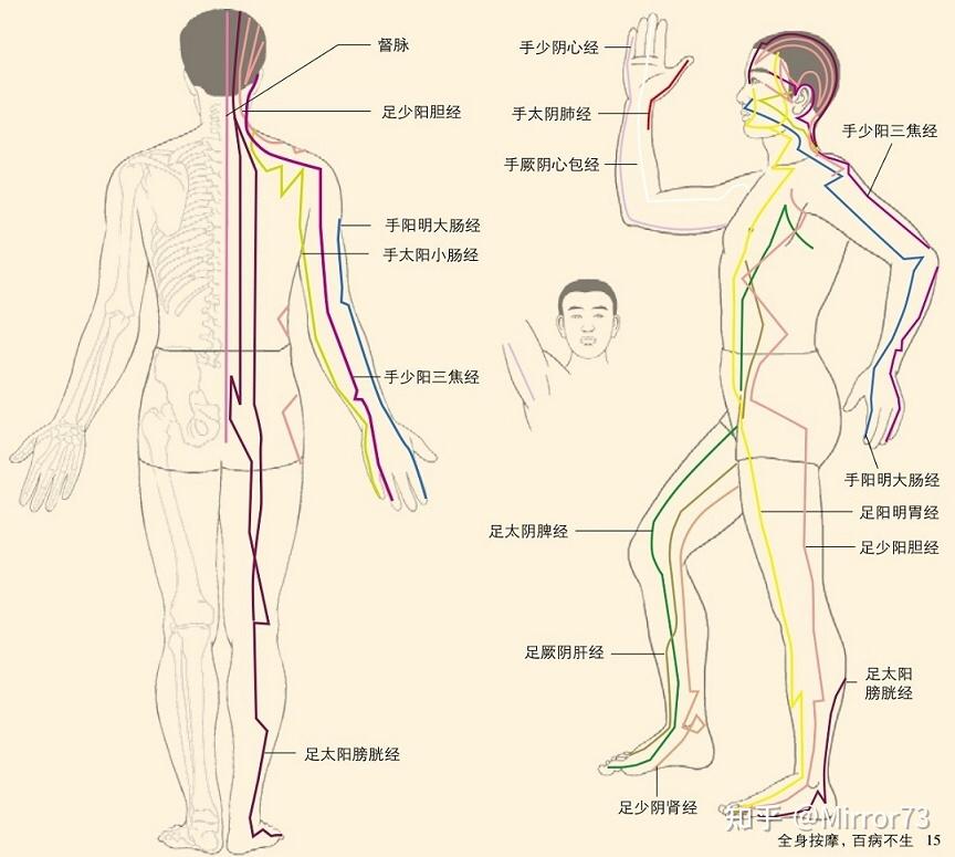 全身按摩图解