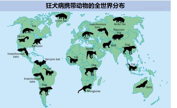 狂犬病疫区图2020图片