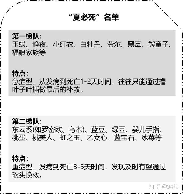 技巧篇 超强 多肉度夏指南 来袭 请查收 知乎