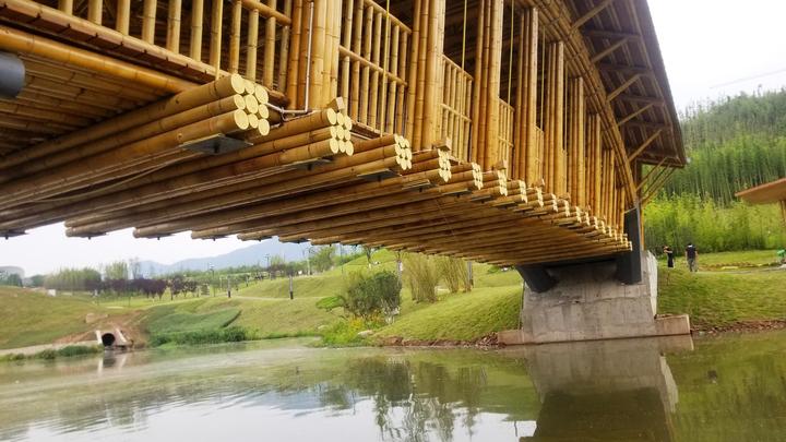 文旅项目竹建筑：一款由竹子建造的桥梁 - 知乎