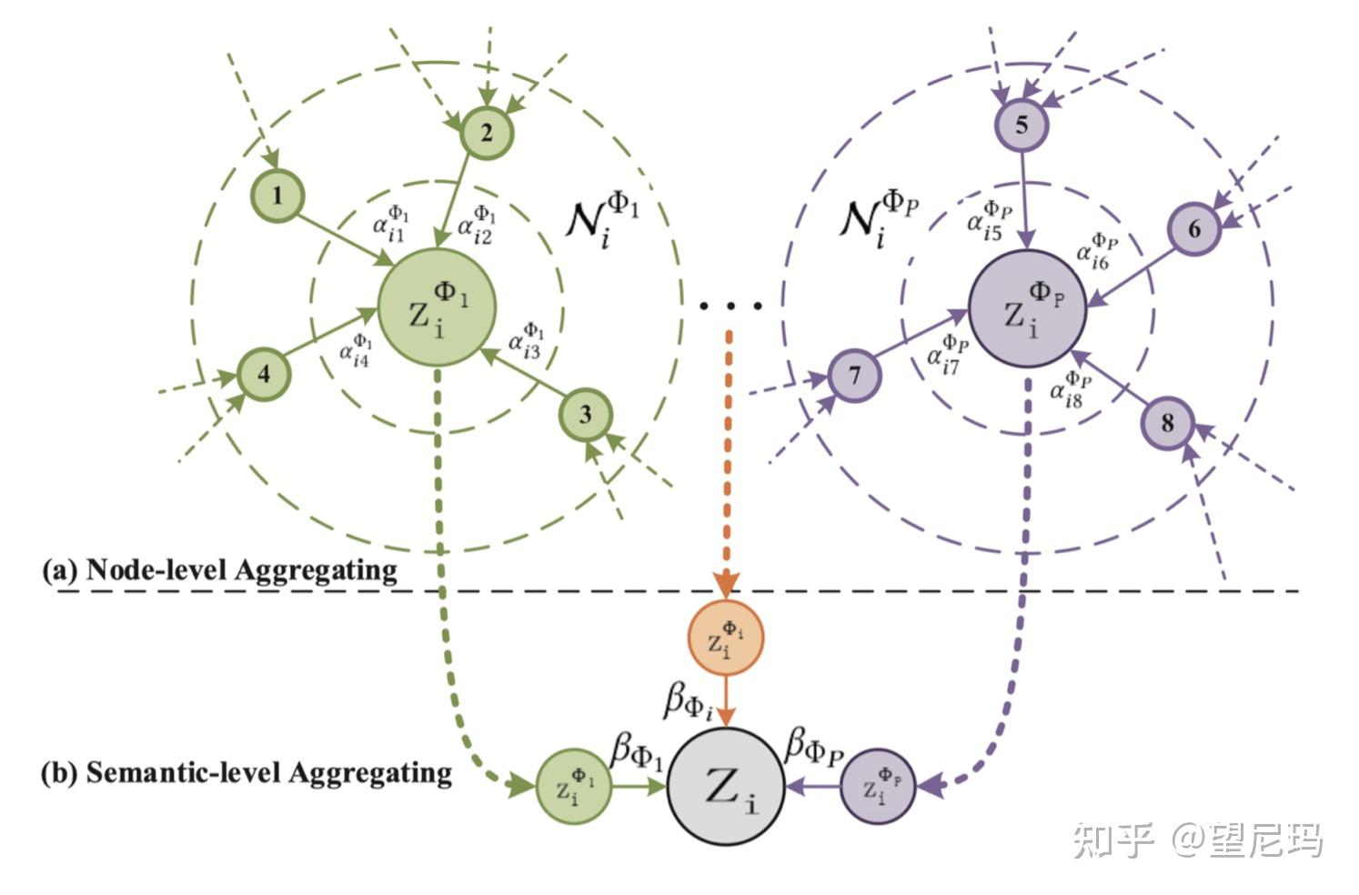 HAN(Heterogeneous Graph Attention Network)原理与实现 - 知乎