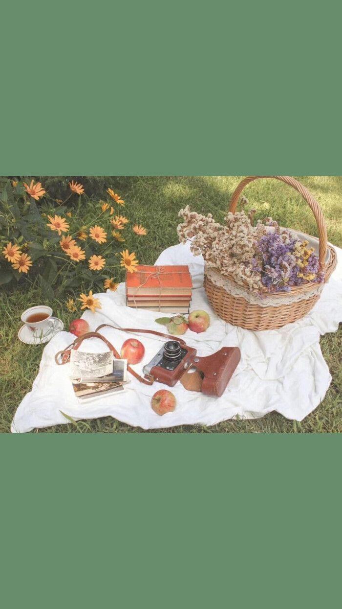 有什么美到极致的绿色壁纸?(绿色壁纸好看卡通动漫)