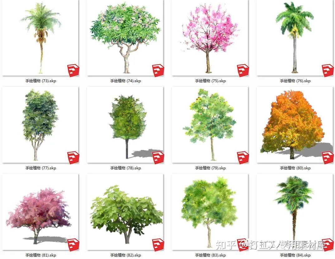 53-景观手绘风格植物树 - 草图大师模型