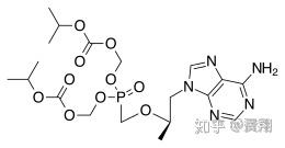 抗乙肝病毒药-Gilead的Viread和Vemlidy - 知乎