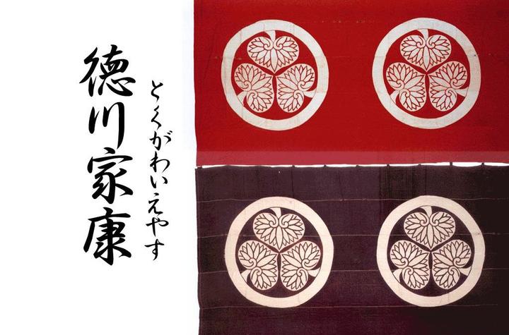 德川家康精彩内容摘录