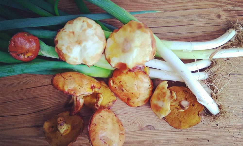 东北爷们儿的私房菜之肉炒黄粘团子