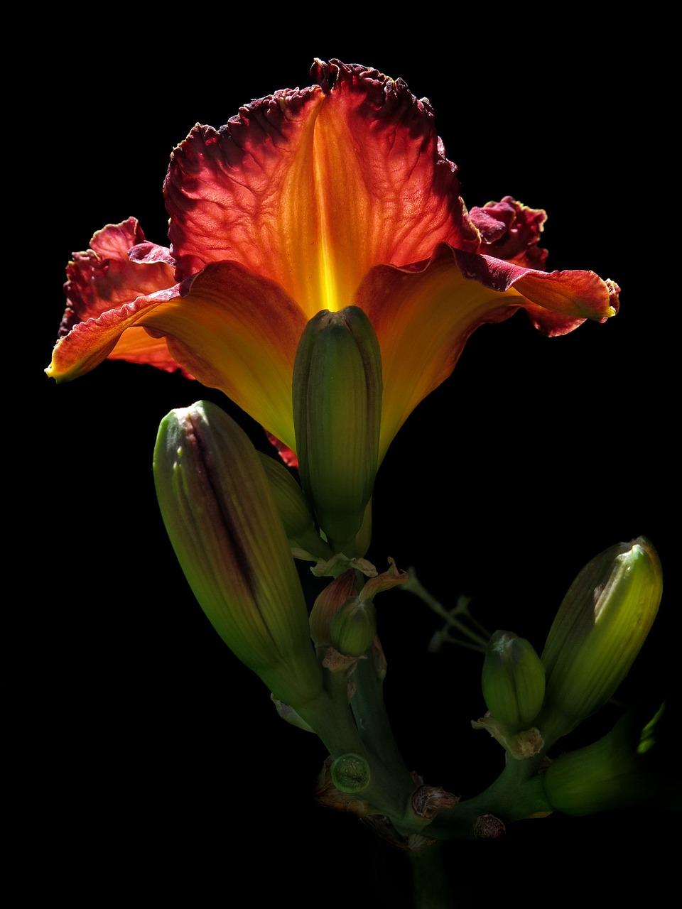 5. 泡发时间控制