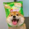 黄轮