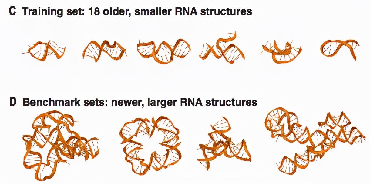 90后斯坦福博士论文登Science封面！AI算法准确预测RNA三维结构 - 知乎