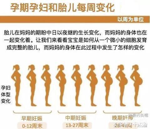 4 怀孕到生准备的东西 知乎