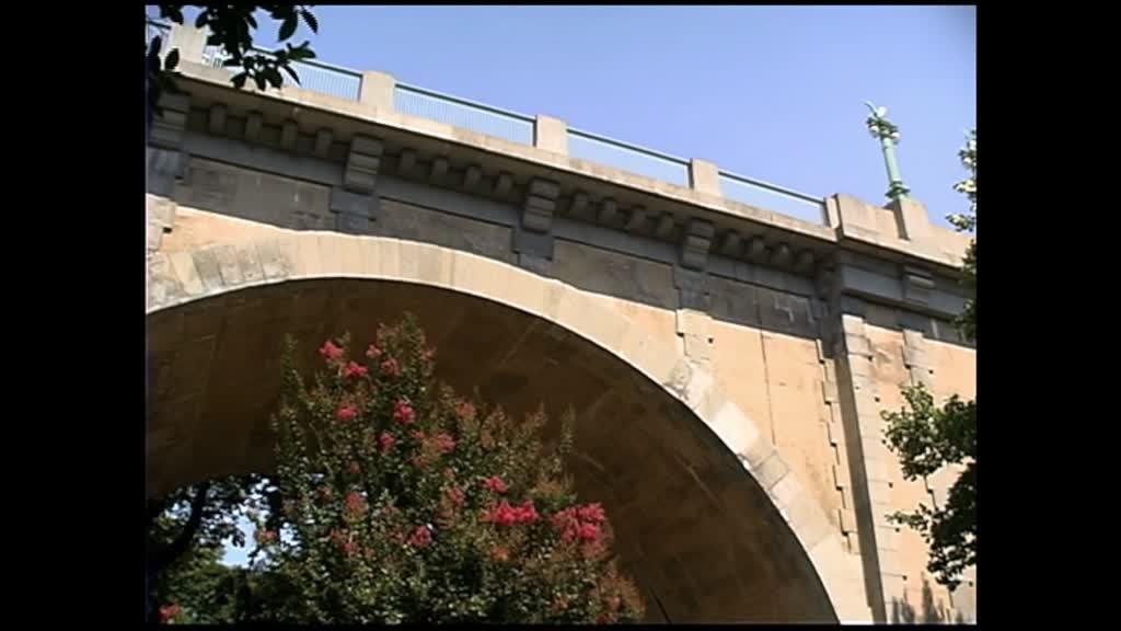 3-4-bioblitz-life-in-24-hours-24