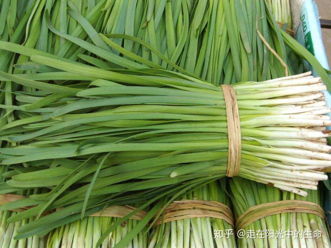 吃韭菜对身体有哪些影响？关于韭菜的作用你知道多少- 知乎