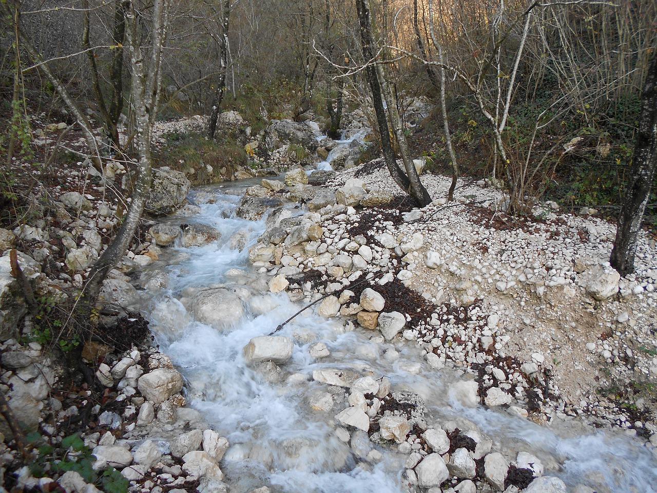 4. 市场口碑分析